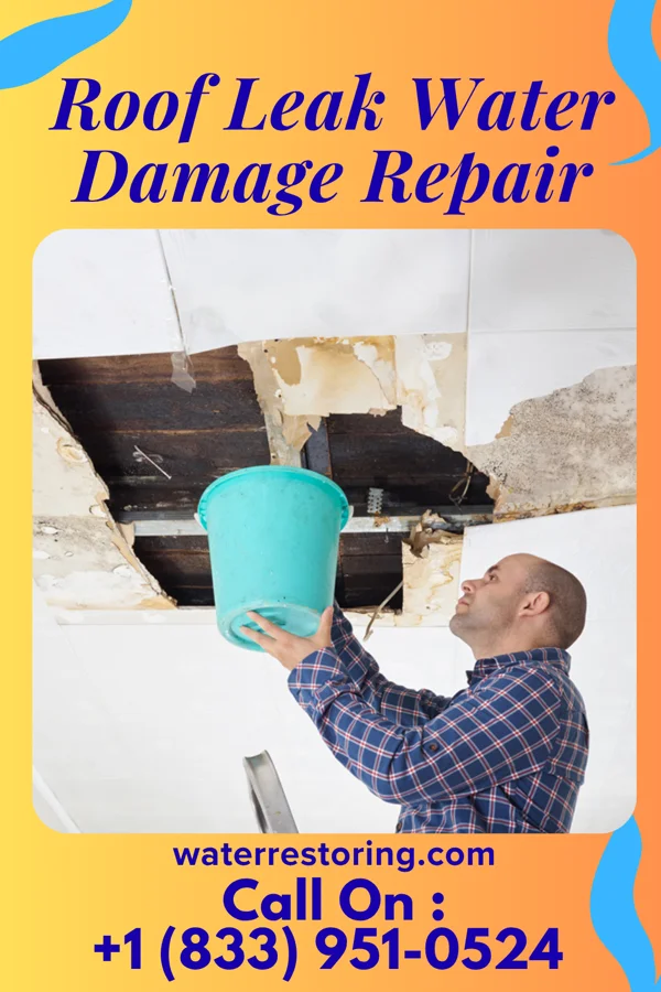 Roof Leak Water Damage Repair in Beaver, KS